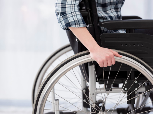 Garante delle persone con disabilità